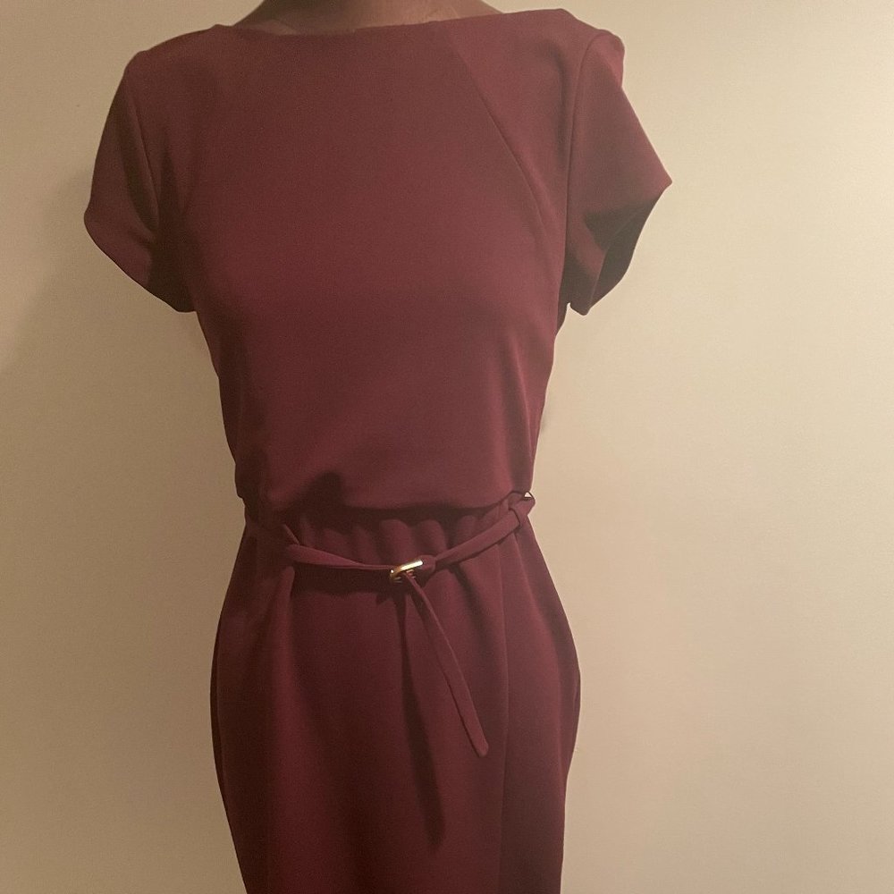 EXPRESS Professional work dress